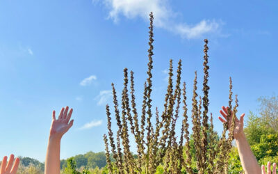 Matter: Nýtt tölublað