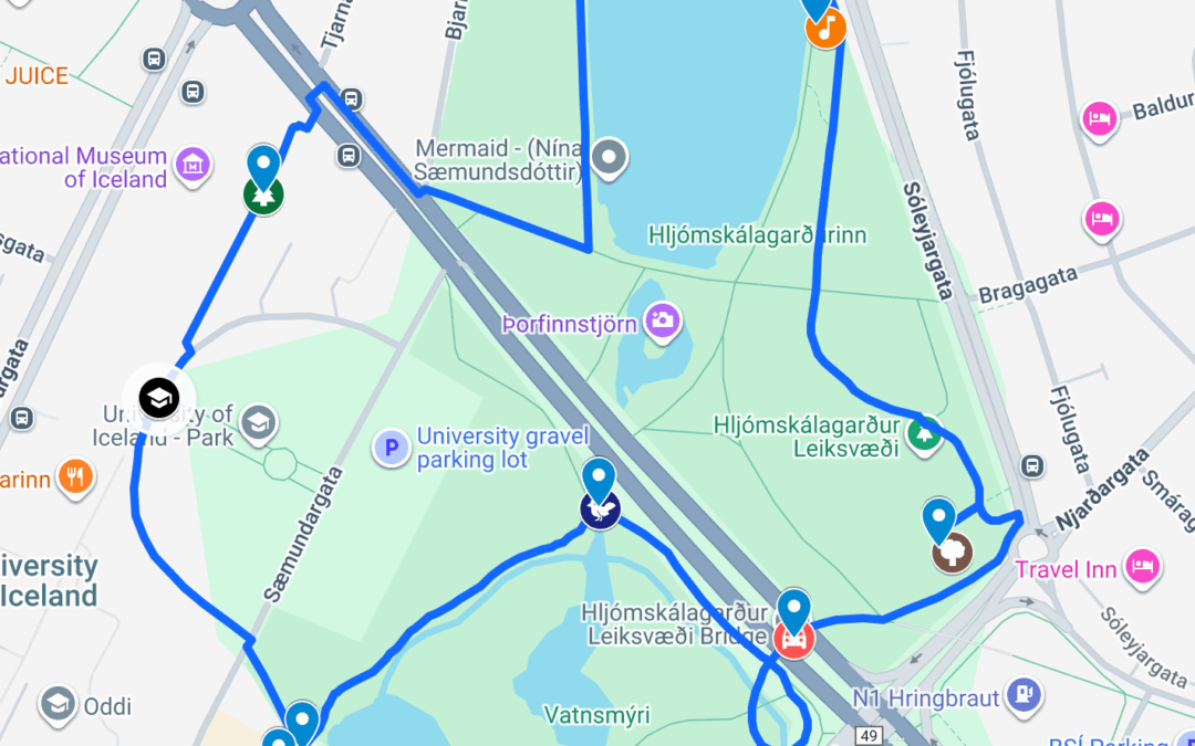 Vatnsmýrin á netinu!