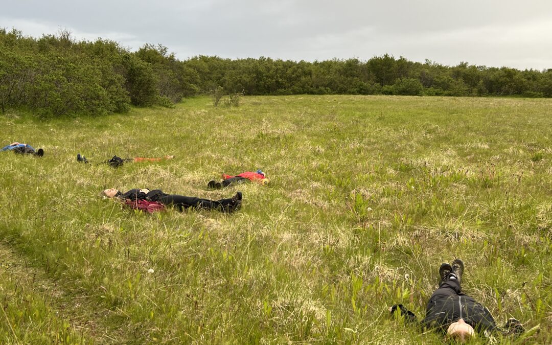 Líkaminn í Ásbyrgi